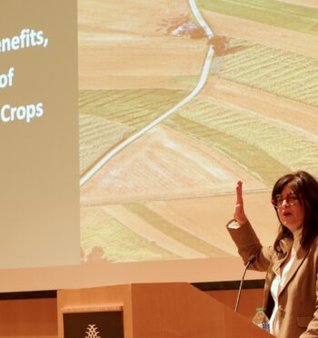 Read Thank You for Joining us at the Genome Edited Crops Paper Rollout